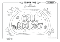 03 Studyalong Workbook Topic 1 Cell Biology Black And White