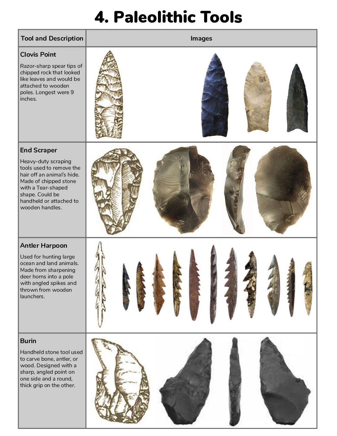 1.4 Paleolithic Tools Answer Key