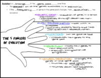 5 Fingers of Evolution Notes Key