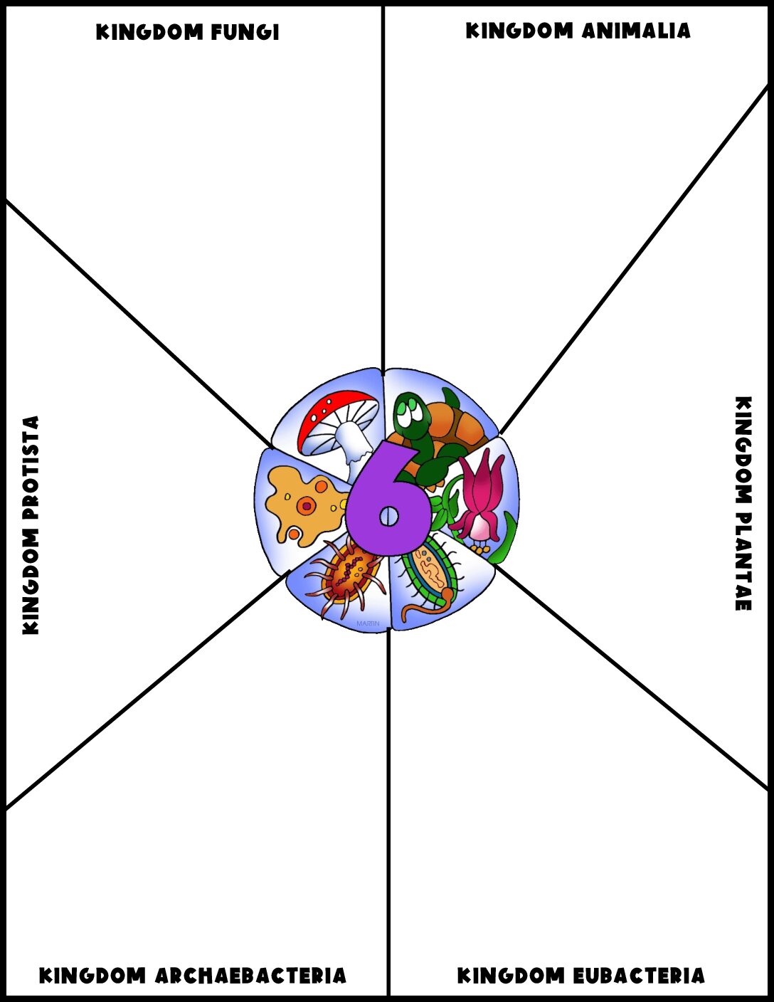 6 Kingdoms Classification