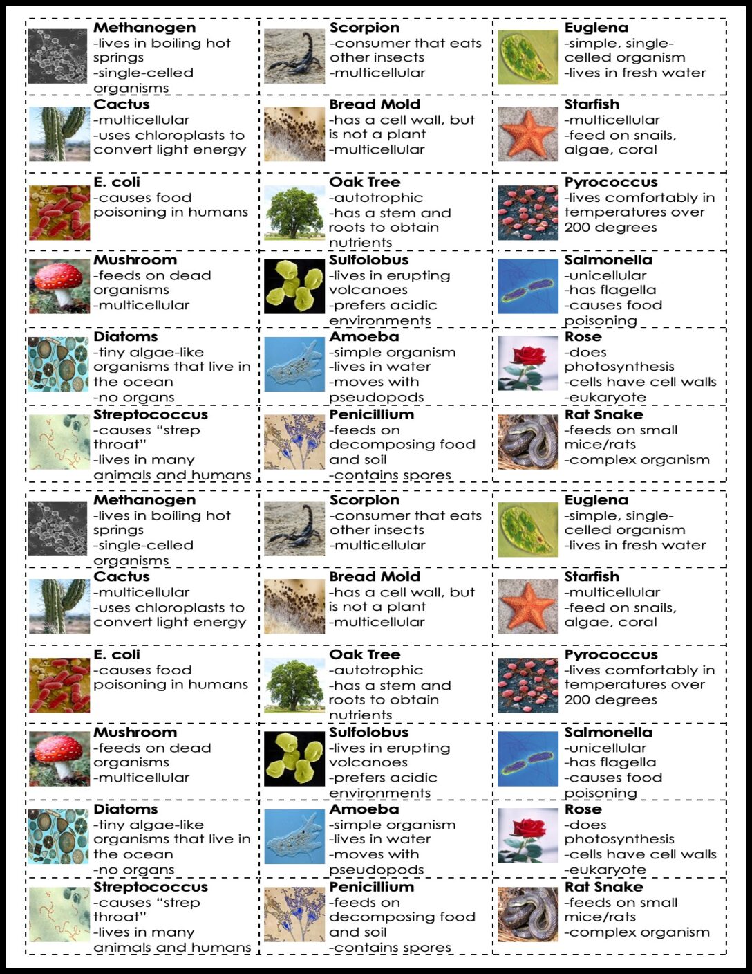6 Kingdoms of Life Sorting Cards