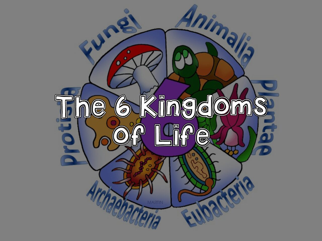 6 Kingdoms of Life