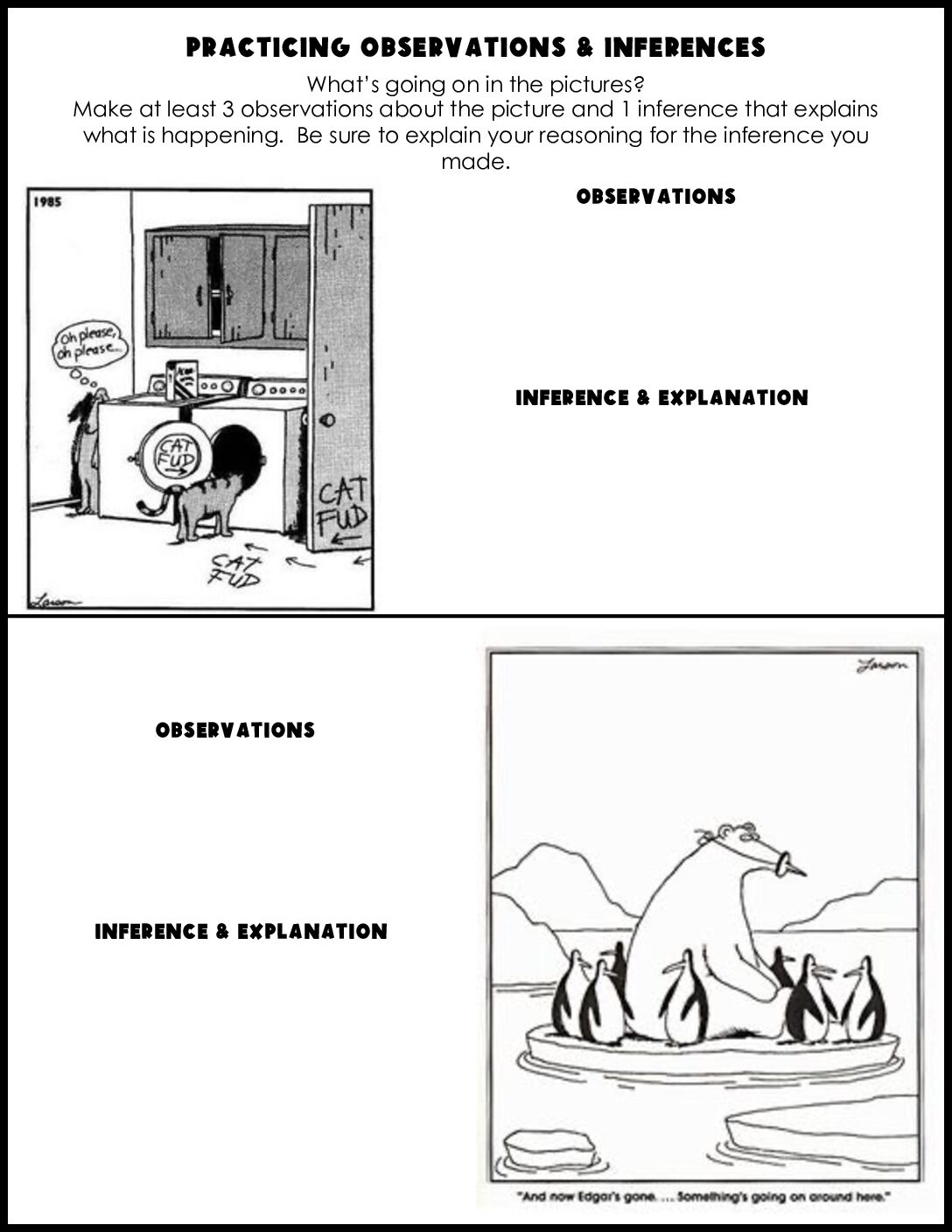 Acc Observations And Inferences Practices