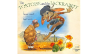 Am Mcs The Tortoise And The Jackrabbit