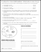 Bacteria Identification Dichotomous Key