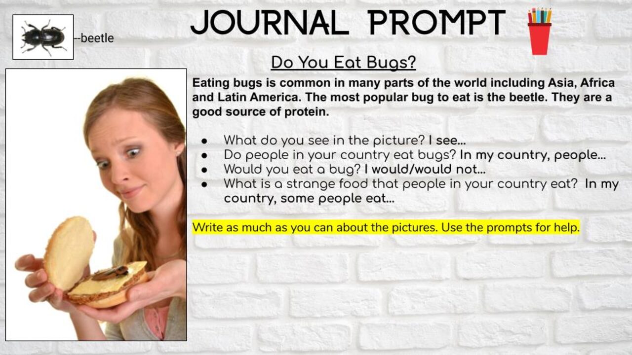 Bugs-Ell Journal Prompts