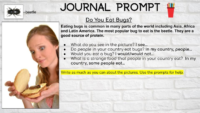 Bugs-Ell Journal Prompts