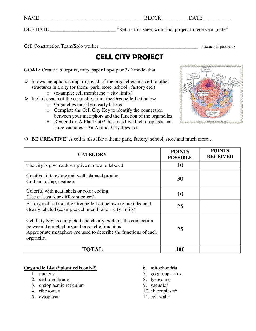 Cell Cıty Project