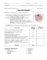 Cell Cıty Project