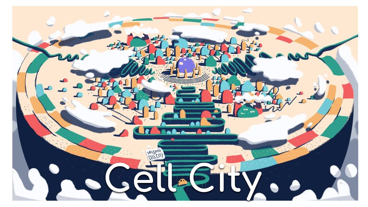 Cell City