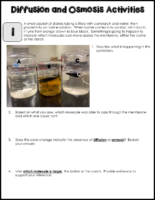 Cell Transport Lab Stations (2)