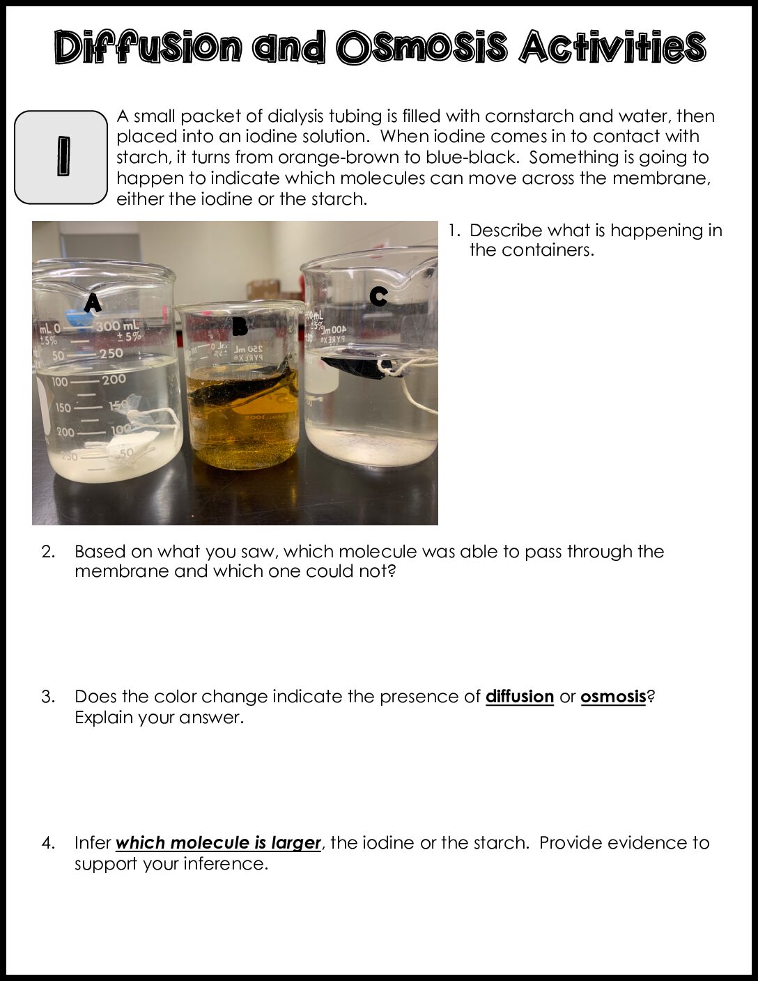Cell Transport Lab Stations