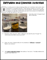 Cell Transport Lab Stations