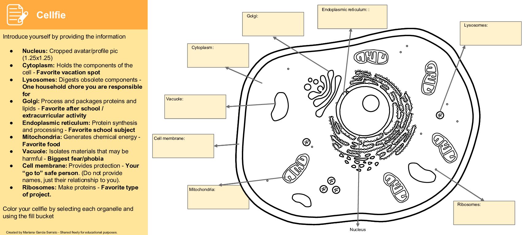 Cellfie Share Introduction Activity