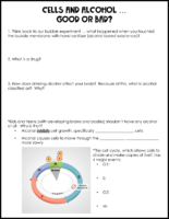 Cells And Alcohol