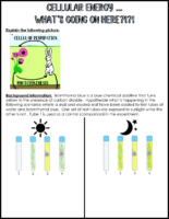 Cellular Energy Interdependence