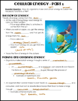 Cellular Energy Notes Key