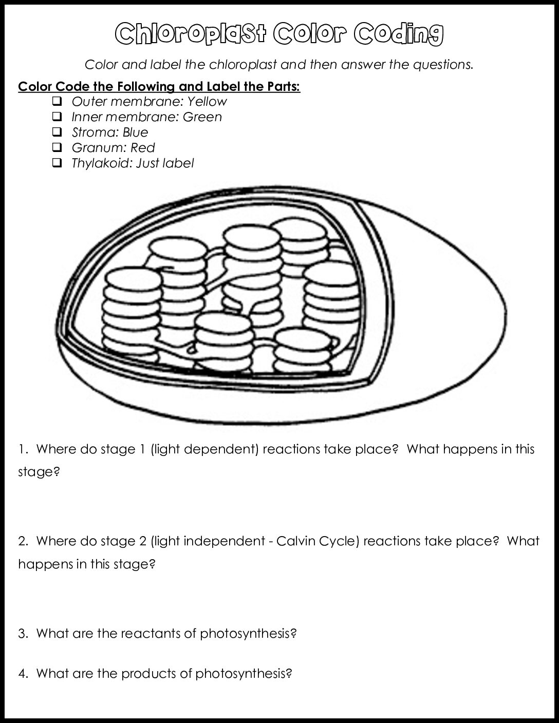 Chloroplast Color Coding