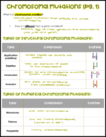 Chromosomal Mutations Notes Key