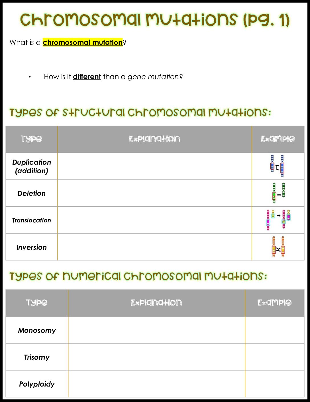 Chromosomal Mutations Notes