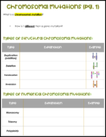 Chromosomal Mutations Notes