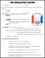 Circulatory System Notes