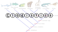 Cladistics