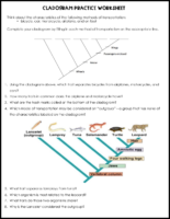 Cladogram Practice Worksheet