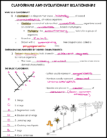 Cladograms Notes Key