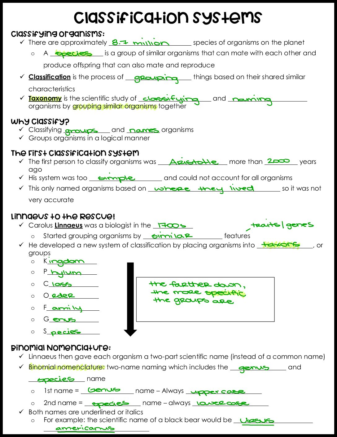 Classification Notes Key