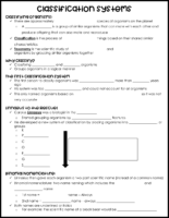 Classification Systems Notes