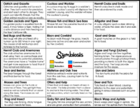 Color Coding Symbiotic Relationships