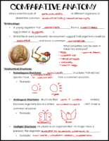 Comparative Anatomy Notes Key