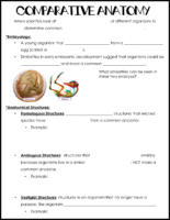 Comparative Anatomy Notes