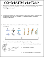 Comparative Anatomy Worksheet