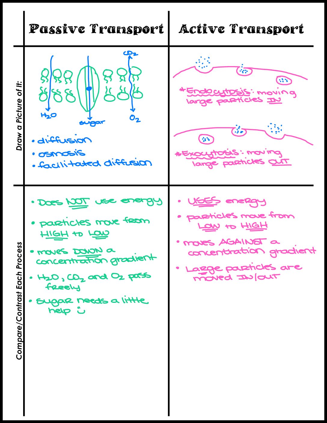 Compare Contrast Pt And At Key