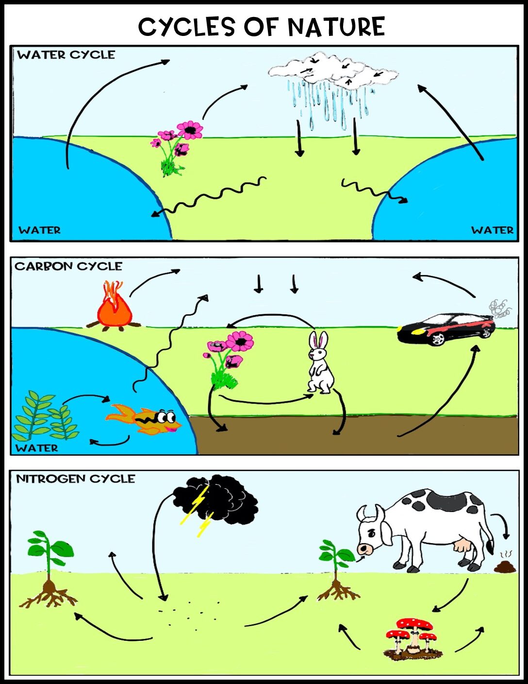 Cycles Of Nature Labeling