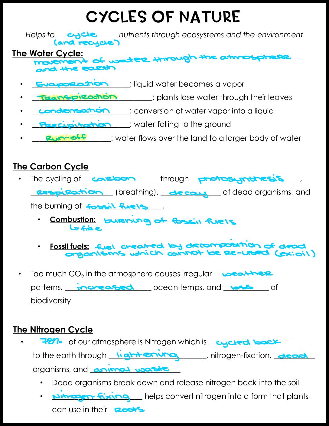 Cycles Of Nature Notes Key