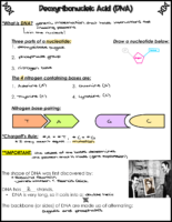 DNA Notes Key