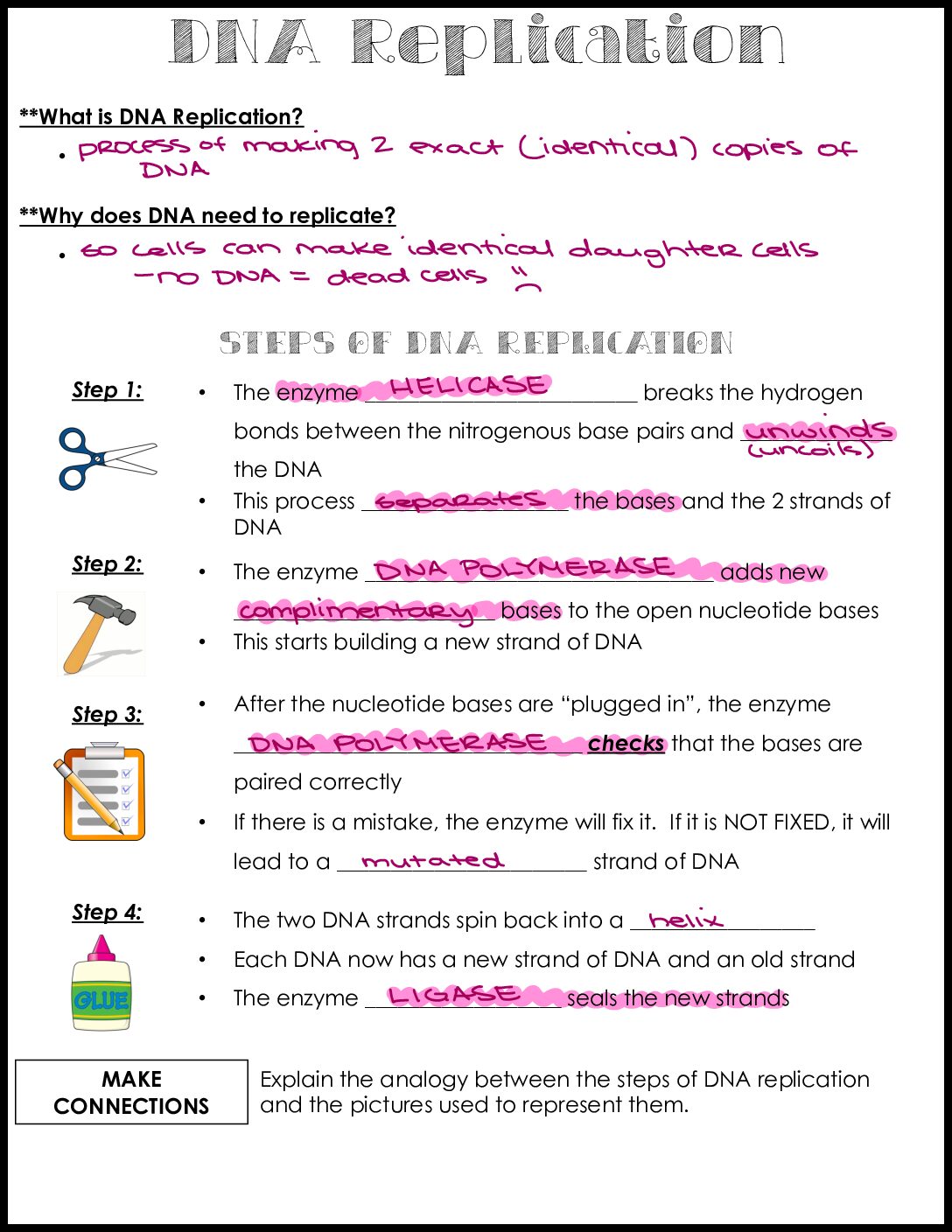 DNA Replication Notes Key