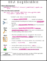 DNA Replication Notes Key