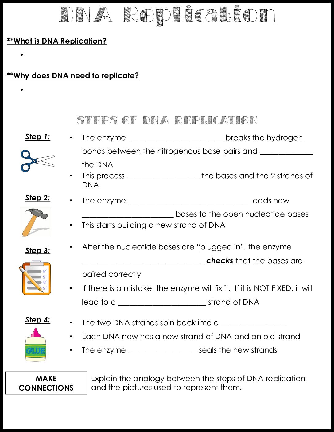 DNA Replication Notes