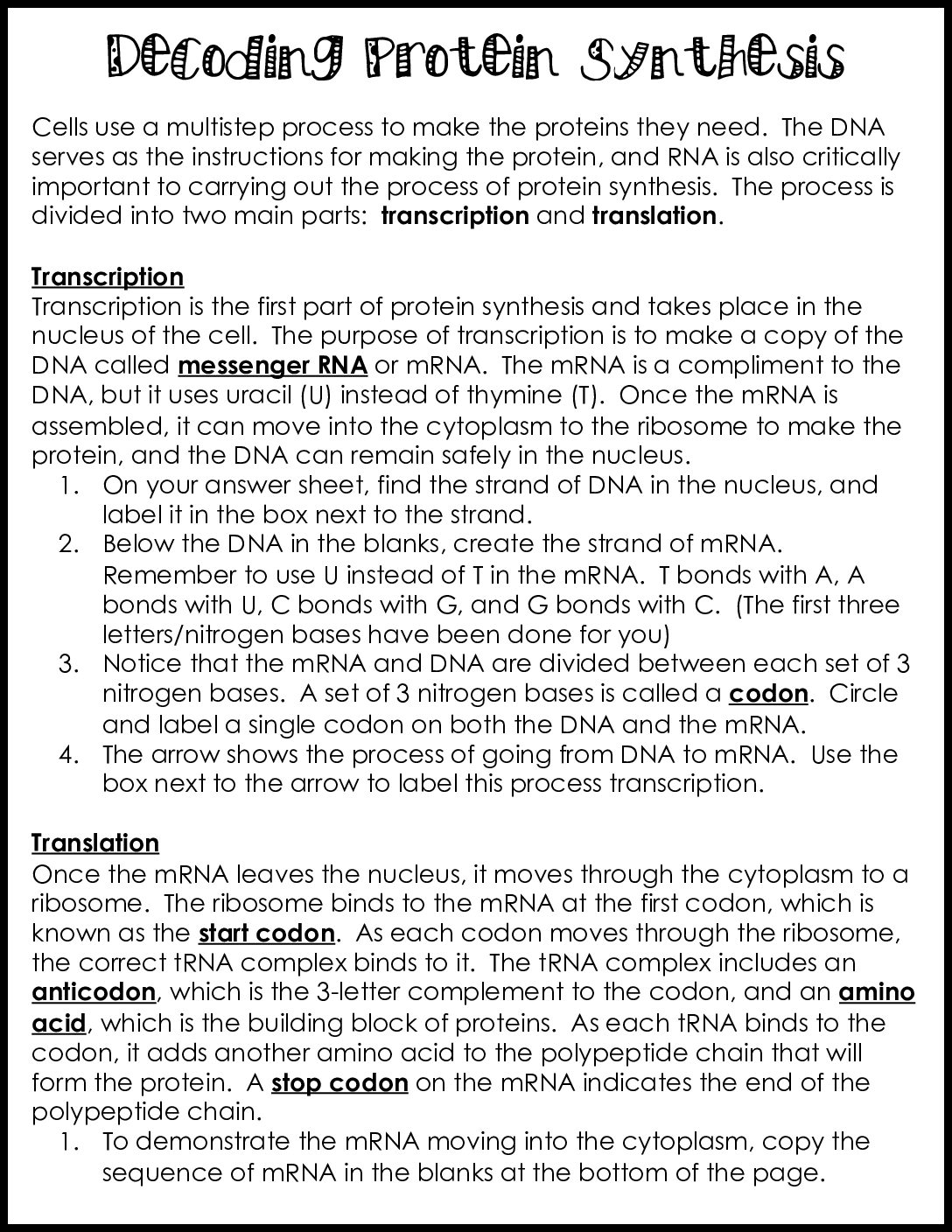 Decoding Protein Synthesis
