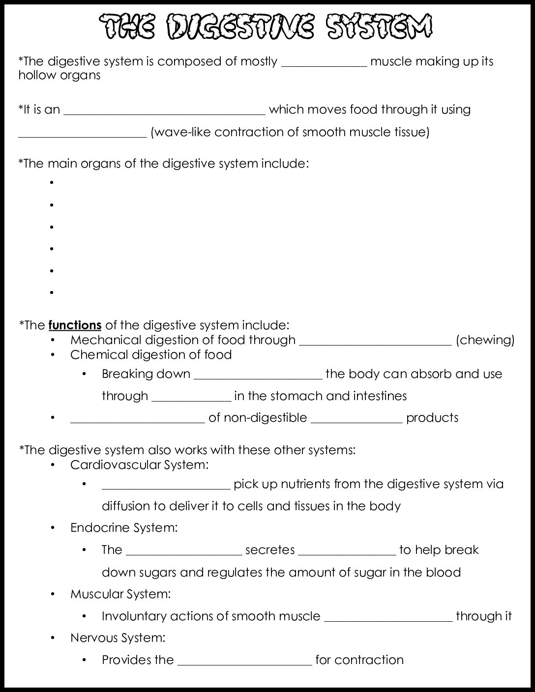 Digestive System Notes