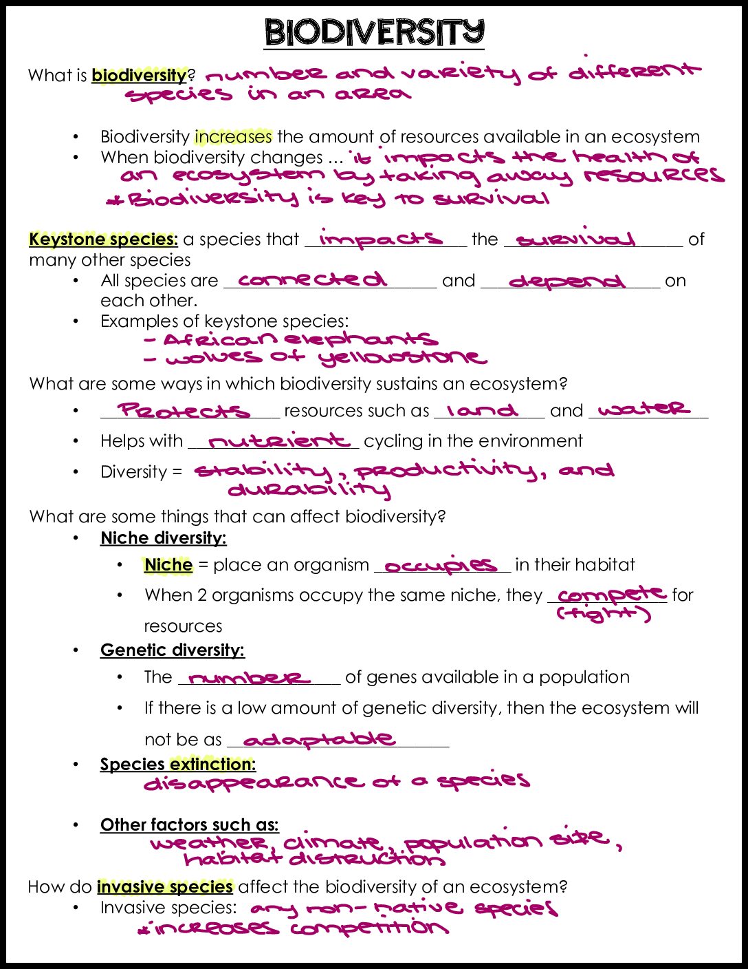 Diversity Notes Key