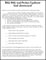 Dna Rna And Protein Synthesis Assessment