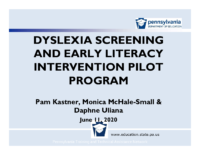 Dyslexia Pilot Overview