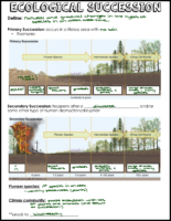 Ecological Succession Notes Key