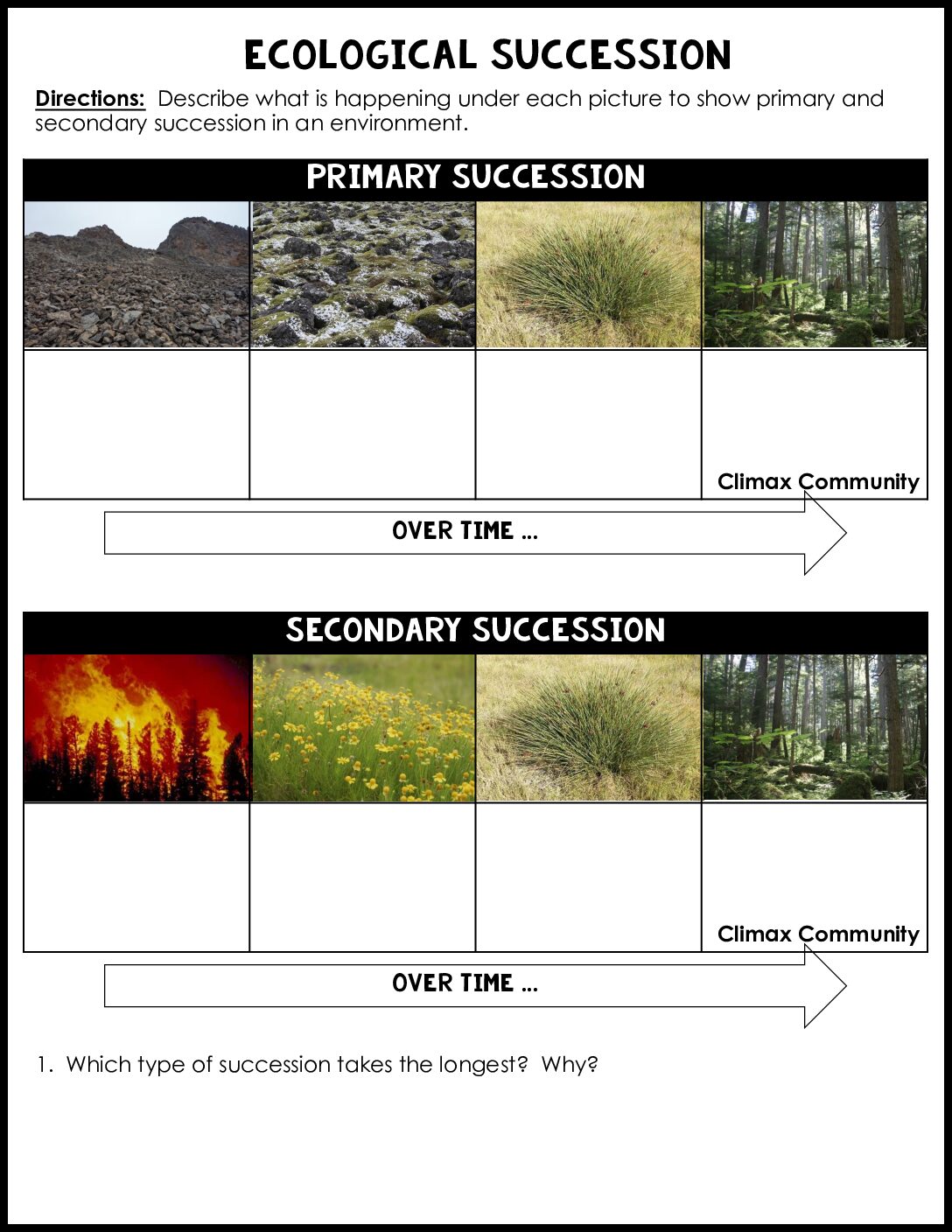 Ecological Succession Worksheet