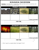 Ecological Succession Worksheet